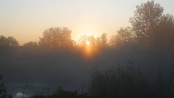 Neblige Morgendämmerung am Fluss, schöner Sommermorgen im Wald mit Sonnenstrahlen und Nebel vom Fluss — Stockfoto