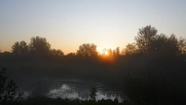 雾蒙蒙的黎明在河边，美丽的夏日清晨，在树林里，阳光普照，大雾从河里飘来 — 图库照片