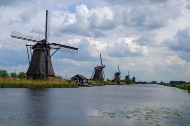 Kinderdijk, Hollanda - Mayıs 2019. O Kinderdijk 'in yel değirmenlerini ziyaret ederken turist bisikleti sürüyor. Kinderdijk 'in yel değirmenleri Hollanda' nın en tanınmış turistik alanlarından biridir..