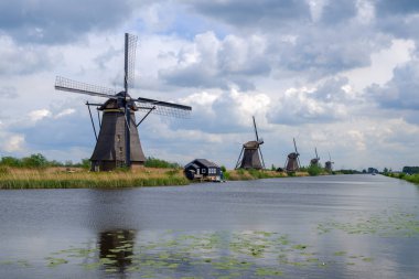 Kinderdijk, Hollanda - Mayıs 2019. O Kinderdijk 'in yel değirmenlerini ziyaret ederken turist bisikleti sürüyor. Kinderdijk 'in yel değirmenleri Hollanda' nın en tanınmış turistik alanlarından biridir..