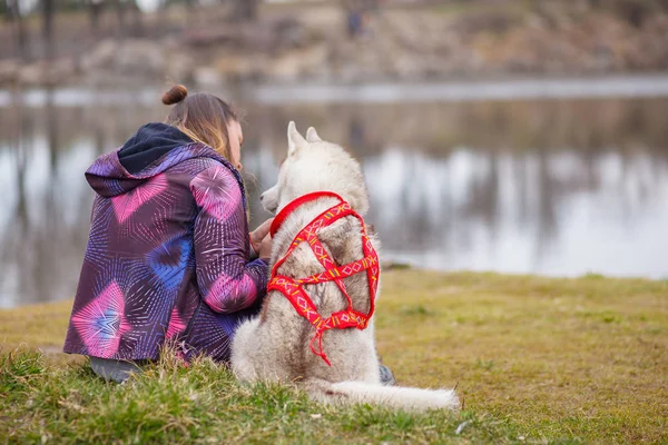 Brincando com cão siberiano husky — Fotografia de Stock