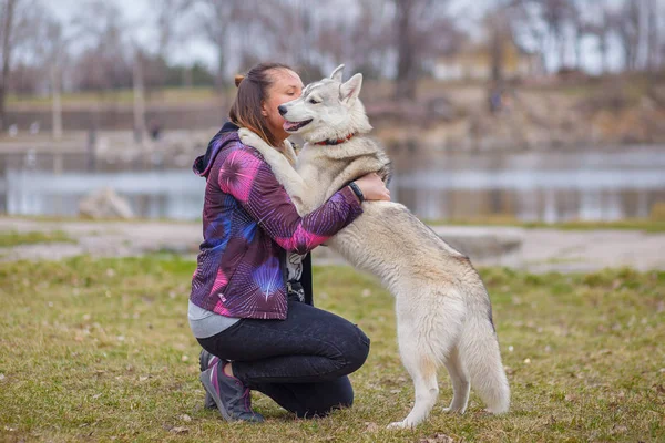 Brincando com cão siberiano husky — Fotografia de Stock