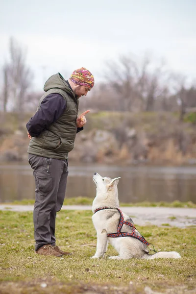 Brincando com cão siberiano husky — Fotografia de Stock