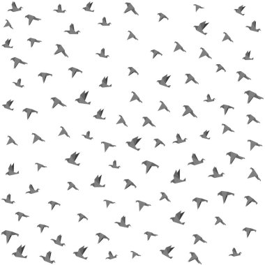 Origami kuş desenleri. Vektör illüstrasyonu