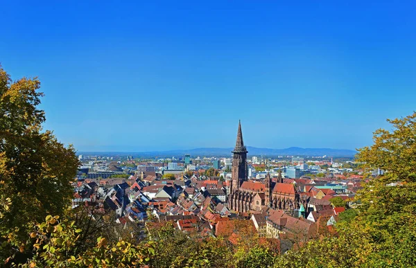 Vista Una Torre Della Cattedrale Minster Muenster Friburgo Germania — Foto Stock