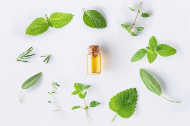 Bottle of essential oil with fresh herbal sage, rosemary, oregano, thyme, lemon balm spearmint and peppermint setup with flat lay on white background clipart
