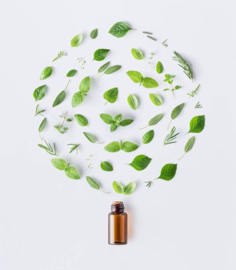Bottle of essential oil with round shape of fresh herbs and spices basil, sage, rosemary, oregano, thyme, lemon balm,spearmint and peppermint setup with flat lay on white background clipart