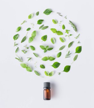 Bottle of essential oil with round shape of fresh herbs and spices basil, sage, rosemary, oregano, thyme, lemon balm,spearmint and peppermint setup with flat lay on white background clipart