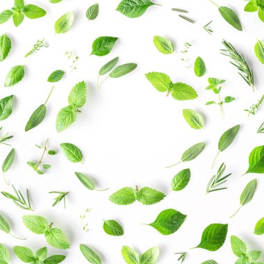 Dikişsiz desen, taze otlar ve baharatlar fesleğen, adaçayı, biberiye, kekik, kekik, oğul otu, nane ve nane kurulum düz beyaz arka plan üzerinde yatıyordu