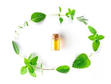 Şişe uçucu yağ ile taze bitki adaçayı, biberiye, kekik, kekik, melisa nane ve nane kurulum düz beyaz arka plan üzerinde yatıyordu
