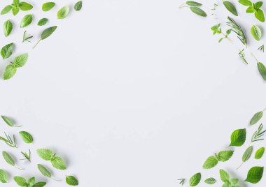 Dikişsiz desen, taze otlar ve baharatlar fesleğen, adaçayı, biberiye, kekik, kekik, oğul otu, nane ve nane kurulum düz beyaz arka plan üzerinde yatıyordu