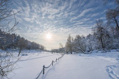 Ağaçlar ve mavi gökyüzü, Rus kış karla kaplı, yatay.