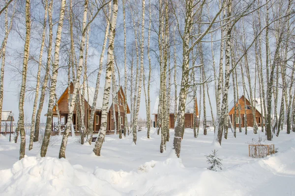 Schneebedeckte Landschaft Mit Bäumen Und Blauem Himmel Russischer Winter Holzhaus — Stockfoto