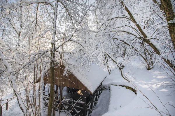 Verschneite Landschaft Mit Bäumen Und Blauem Himmel Russischer Winter — Stockfoto