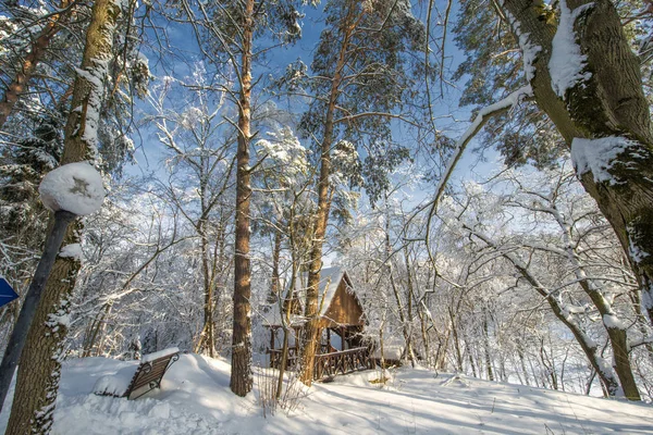 Paisaje Cubierto Nieve Con Árboles Cielo Azul Invierno Ruso — Foto de Stock