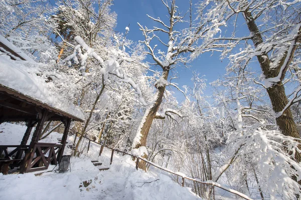 Verschneite Landschaft Mit Bäumen Und Blauem Himmel Russischer Winter — Stockfoto