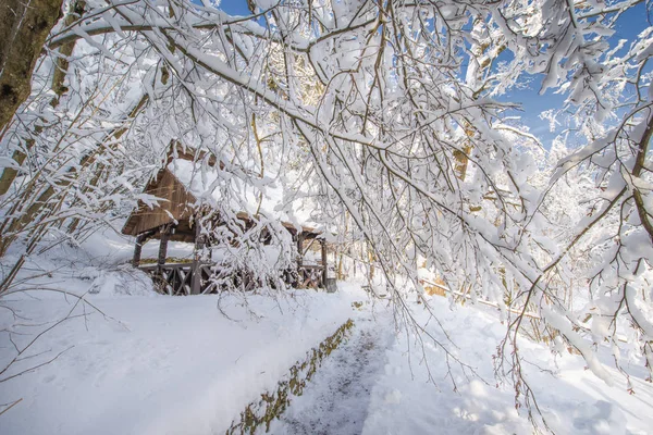 Paisaje Cubierto Nieve Con Árboles Cielo Azul Invierno Ruso — Foto de Stock