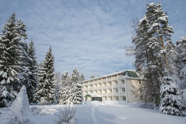 Edificio Del Hotel Park Winter Invierno Ruso — Foto de Stock