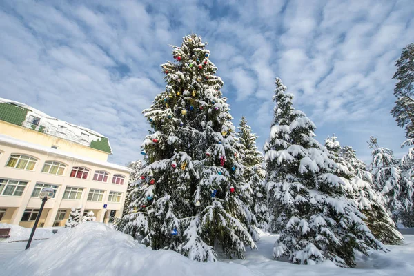 Edifício Hotel Parque Inverno Inverno Russo — Fotografia de Stock