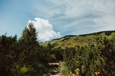 Dağ yolu en yüksek dağlara çıkıyor. Spor ve aktif yaşam konsepti. Güzel manzara. Mavi gökyüzü