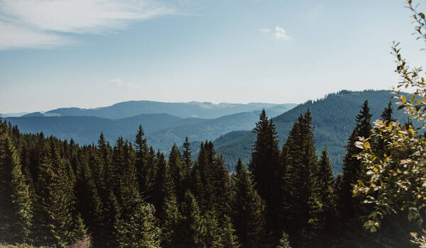 Carpathians. View of the peaks of the mountain ranges. Beautiful landscape. Blue sky