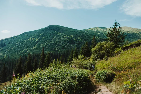 Dağ yolu en yüksek dağlara çıkıyor. Spor ve aktif yaşam konsepti. Güzel manzara. Mavi gökyüzü