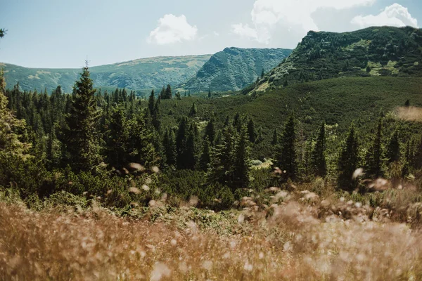 Karpatlar. Dağ sıralarının zirvelerinin manzarası. Güzel manzara. Mavi gökyüzü