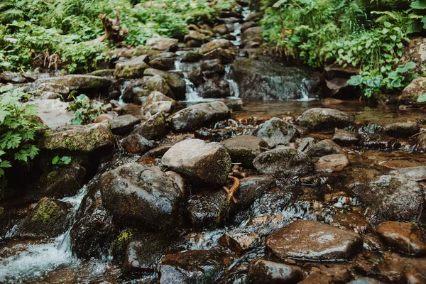 Ruisseau Montagne Dans Forêt — Photo