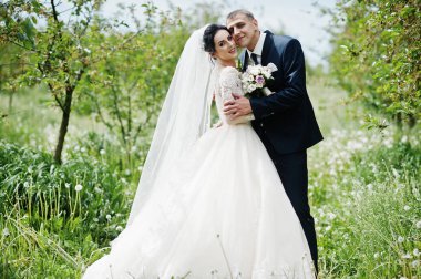 Muhteşem düğün çifti onların zaman açık havada bahçede özel bir günde sahip..