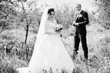 Muhteşem düğün çifti onların zaman açık havada bahçede özel bir günde sahip.. Siyah ve beyaz fotoğraf.