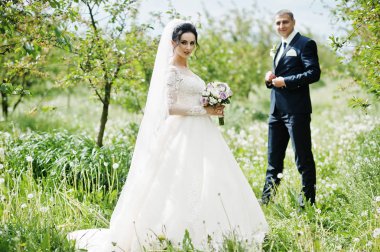 Muhteşem düğün çifti onların zaman açık havada bahçede özel bir günde sahip..