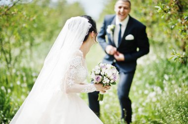 Muhteşem düğün çifti onların zaman açık havada bahçede özel bir günde sahip..