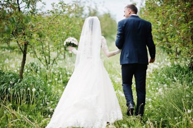 Muhteşem düğün çifti onların zaman açık havada bahçede özel bir günde sahip..
