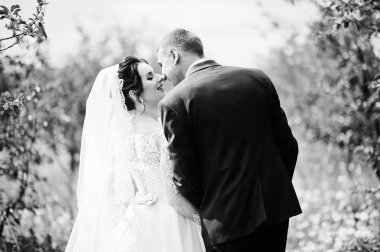 Muhteşem düğün çifti onların zaman açık havada bahçede özel bir günde sahip.. Siyah ve beyaz fotoğraf.