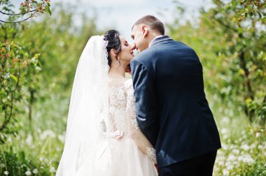 Muhteşem düğün çifti onların zaman açık havada bahçede özel bir günde sahip..