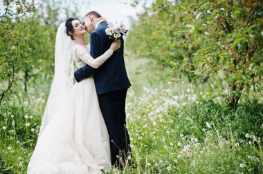 Muhteşem düğün çifti onların zaman açık havada bahçede özel bir günde sahip..