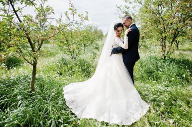 Muhteşem düğün çifti onların zaman açık havada bahçede özel bir günde sahip..