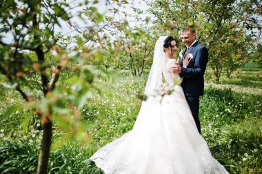 Muhteşem düğün çifti onların zaman açık havada bahçede özel bir günde sahip..