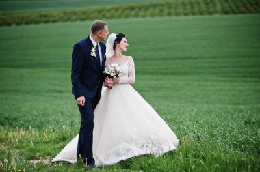 Beuatiful romantik düğün çifti alanında özel günlerinde yürüyüş.