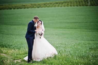 Beuatiful romantik düğün çifti alanında özel günlerinde yürüyüş.