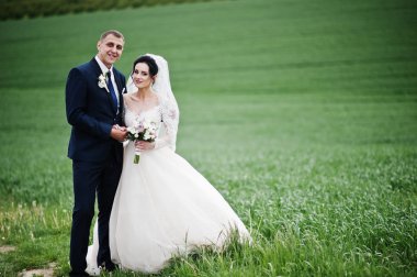 Beuatiful romantik düğün çifti alanında özel günlerinde yürüyüş.