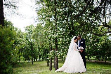 Güzel ve mutlu yeni evli çift ayakta yeşil park onların düğün günü.