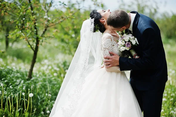 Fantastische Bruidspaar Hebben Hun Tijd Buiten Tuin Een Speciale Dag — Stockfoto