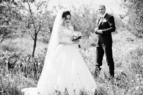 Fabuleux Couple Mariage Ayant Leur Temps Extérieur Dans Jardin Jour — Photo