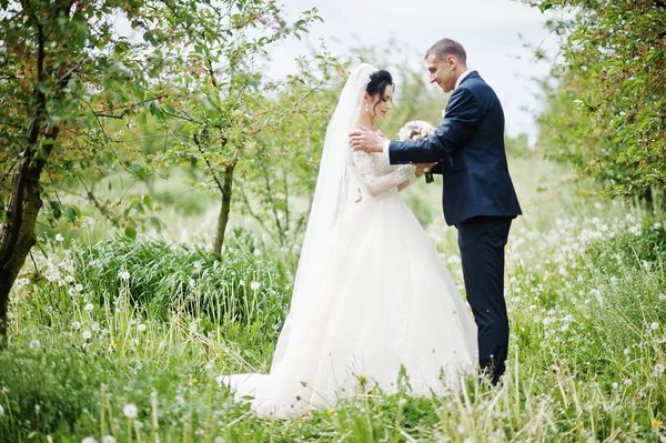 美妙的新婚夫妇有他们的时间在户外在花园中的一个特殊的日子 — 图库照片