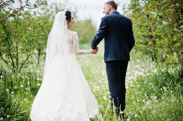 Fabelhaftes Hochzeitspaar Einem Besonderen Tag Garten — Stockfoto
