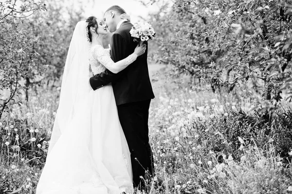 美妙的新婚夫妇有他们的时间在户外在花园中的一个特殊的日子 黑白照片 — 图库照片