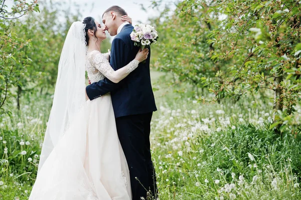 Fabulous Wedding Couple Having Time Outdoors Garden Special Day — Stock Photo, Image