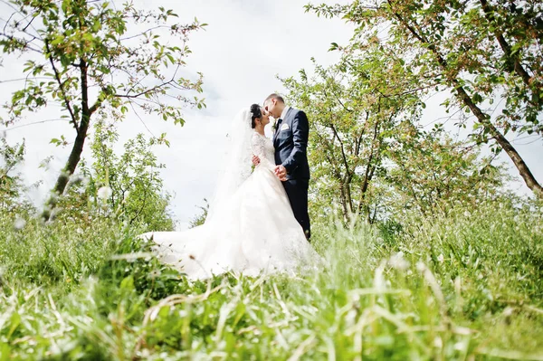 Fabulous Wedding Couple Having Time Outdoors Garden Special Day — Stock Photo, Image