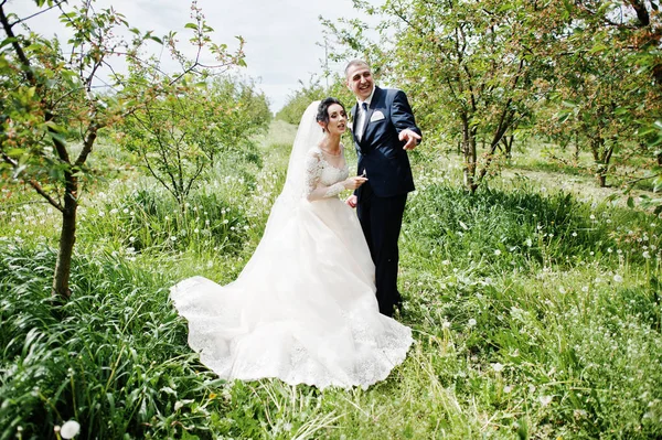 Muhteşem Düğün Çifti Onların Zaman Açık Havada Bahçede Özel Bir — Stok fotoğraf